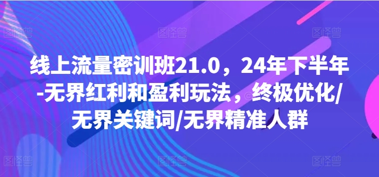 线上流量密训班21.0，24年下半年-无界红利和盈利玩法，终极优化/无界关键词/无界精准人群-铜臭网