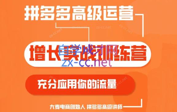 大麦老师·拼多多单品爆款打造课程(更新6月)-铜臭网