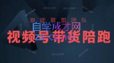 狼团联盟·2024视频号带货-铜臭网