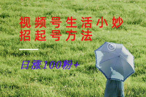 视频号生活小妙招分享赛道, 起号涨粉新方法,日涨100粉-铜臭网