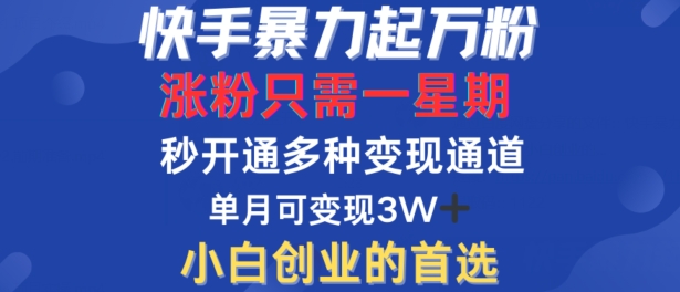 快手暴力起万粉，涨粉只需一星期，多种变现模式，直接秒开万合，单月变现过W【揭秘】-铜臭网