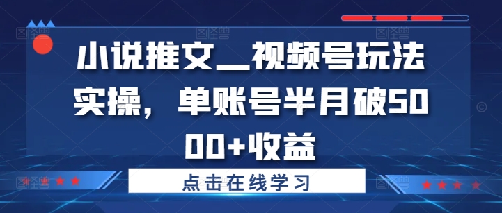 小说推文—视频号玩法实操，单账号半月破5000+收益-铜臭网