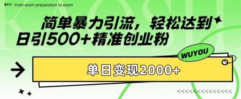 简单暴力引流，轻松达到日引500+精准创业粉，单日变现2k【揭秘】-铜臭网