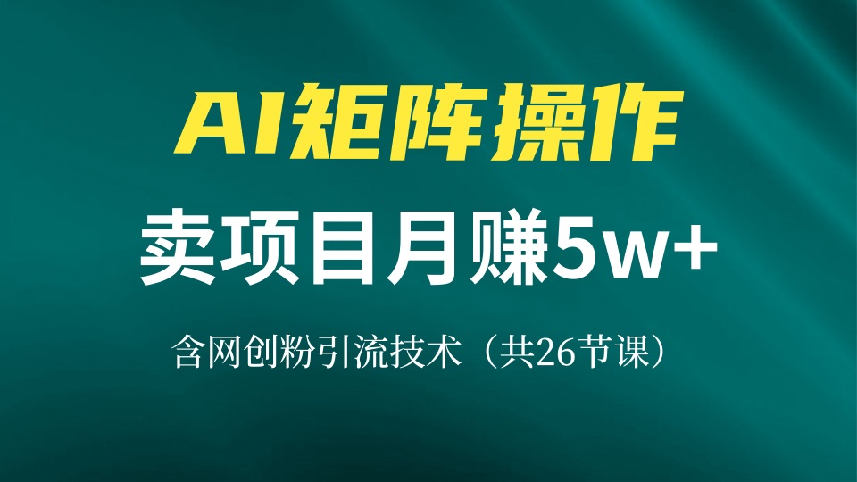 网创IP打造课，借助AI卖项目月赚5万+，含引流技术(共26节课-铜臭网