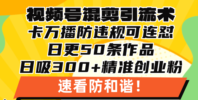 视频号混剪引流技术，500万播放引流17000创业粉，操作简单当天学会-铜臭网
