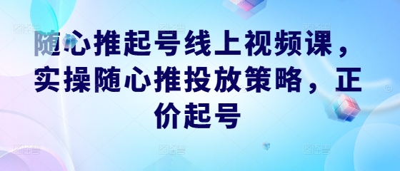 随心推起号线上视频课，实操随心推投放策略，正价起号-铜臭网