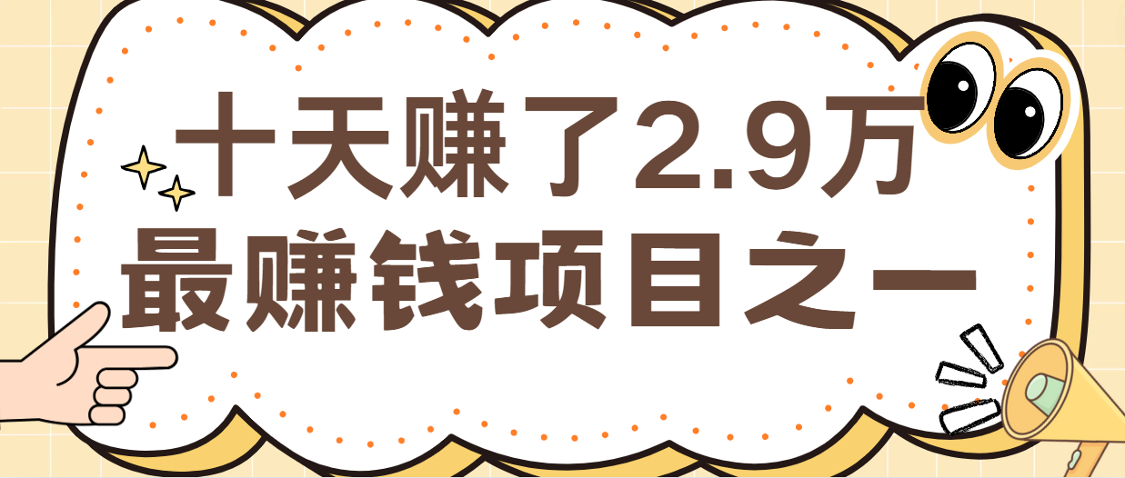 闲鱼小红书最赚钱项目之一，纯手机操作简单，小白必学轻松月入6万+-铜臭网