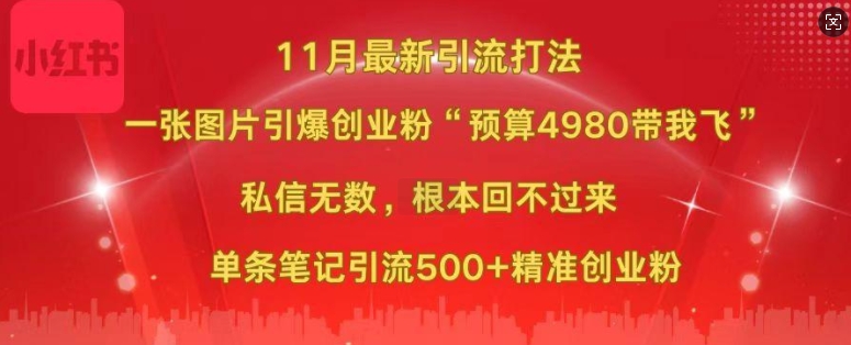 小红书11月最新图片打粉，一张图片引爆创业粉，“预算4980带我飞”，单条引流500+精准创业粉-铜臭网