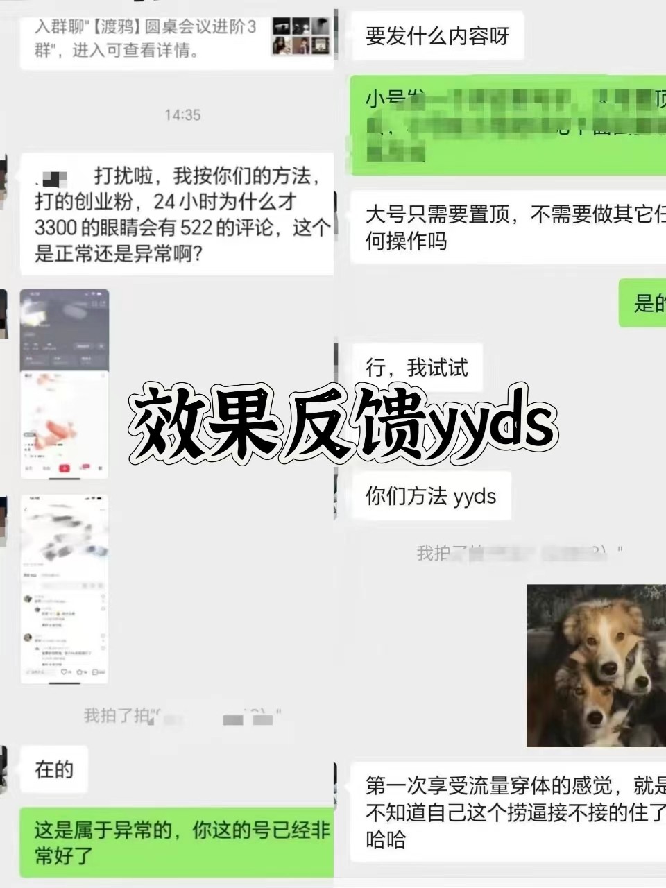 图片[3]-抖音小红书视频号全平台引流打法，全自动引流日引2000+精准客户-铜臭网