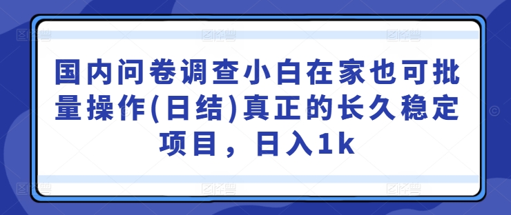 国内问卷调查小白在家也可批量操作(日结)真正的长久稳定项目，日入1k【揭秘】-铜臭网