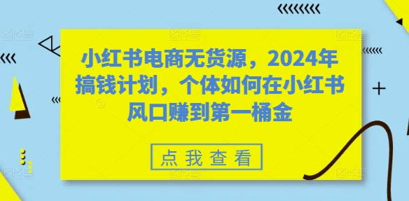 小红书电商无货源，2024年搞钱计划，个体如何在小红书风口赚到第一桶金-铜臭网