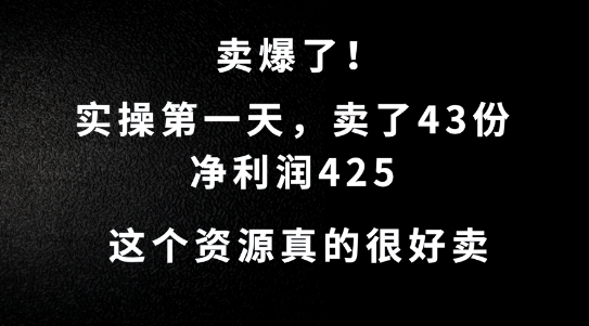 这个资源，需求很大，实操第一天卖了43份，净利润425【揭秘】-铜臭网