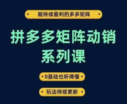 拼多多矩阵动销系列课，能持续盈利的多多矩阵，0基础也听得懂，玩法持续更新-铜臭网