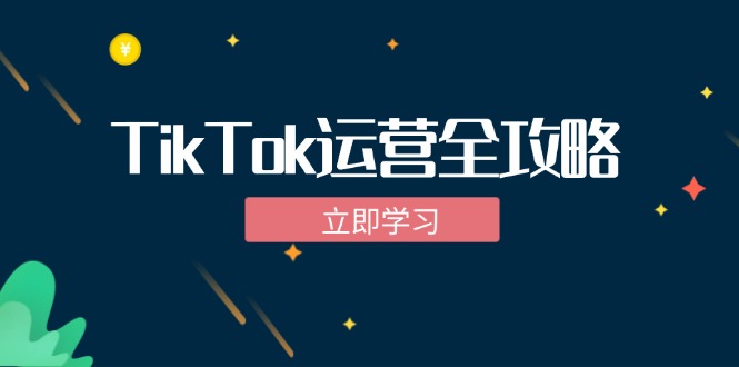 TikTok实战运营全攻略：从下载软件到变现，抖音海外版实操教程-铜臭网