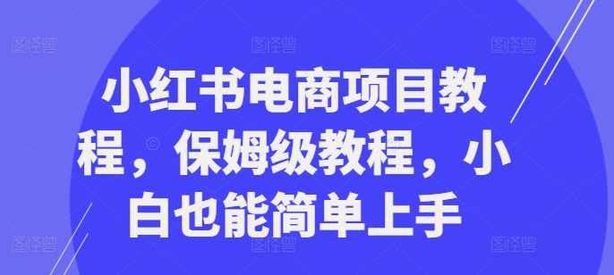 小红书电商项目教程，保姆级教程，小白也能简单上手-铜臭网