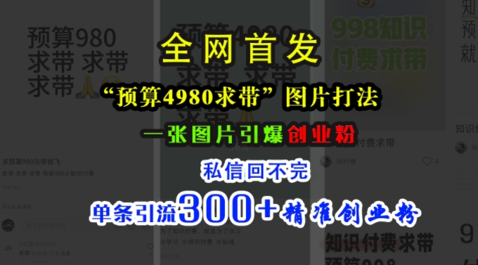 小红书“预算4980带我飞”图片打法，一张图片引爆创业粉，私信回不完，单条引流300+精准创业粉-铜臭网