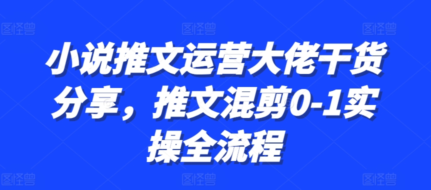 小说推文运营大佬干货分享，推文混剪0-1实操全流程-铜臭网