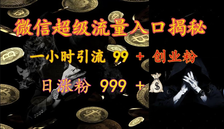 微信超级流量入口揭秘：一小时引流 99 + 创业粉，日涨粉 999 +-铜臭网