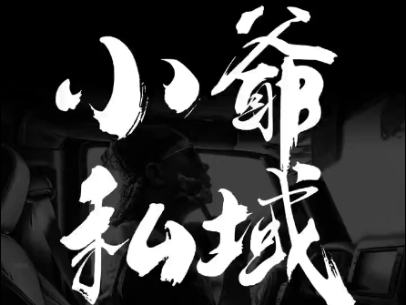 小爷·私域项目操盘手-铜臭网