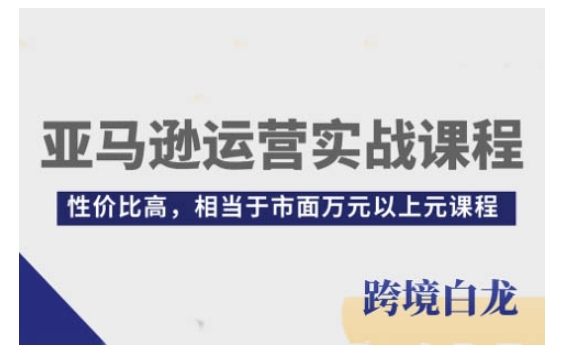 亚马逊运营实战课程，亚马逊从入门到精通，性价比高，相当于市面万元以上元课程-铜臭网