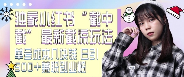 最新小红书截流玩法 独家截中截 单号成本几块钱 日引500+CY粉JZ粉-铜臭网