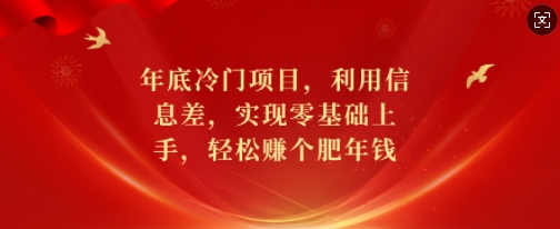 年底冷门项目，利用信息差，实现零基础上手，轻松赚个肥年钱【揭秘】-铜臭网