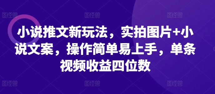小说推文新玩法，实拍图片+小说文案，操作简单易上手，单条视频收益四位数-铜臭网