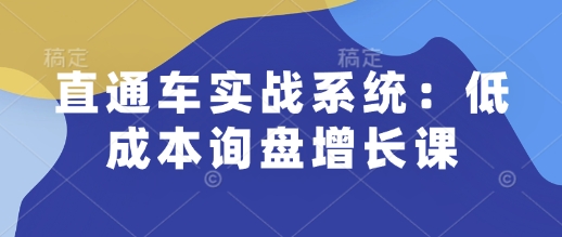 直通车实战系统：低成本询盘增长课，让个人通过技能实现升职加薪，让企业低成本获客，订单源源不断-铜臭网