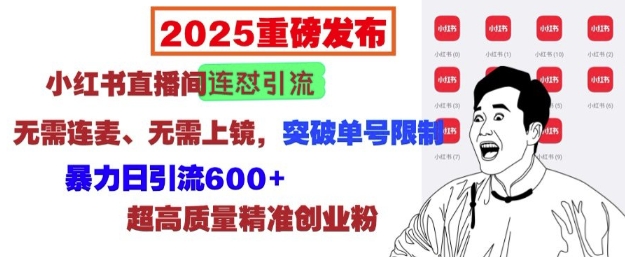 2025重磅发布：小红书直播间连怼引流，无需连麦、无需上镜，突破单号限制，暴力日引流600+-铜臭网