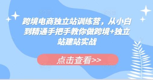 跨境电商独立站训练营，从小白到精通手把手教你做跨境+独立站建站实战-铜臭网