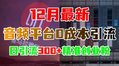 12月最新：音频平台0成本引流，日引流300+精准创业粉-铜臭网