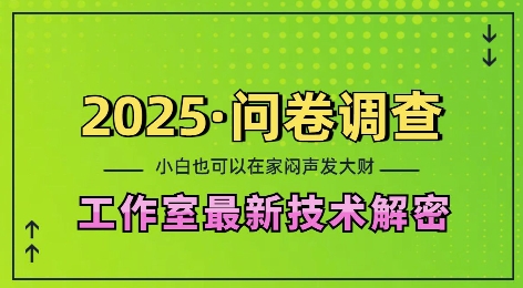 2025问卷调查最新工作室技术解密：一个人在家也可以闷声发大财，小白一天2张，可矩阵放大【揭秘】-铜臭网