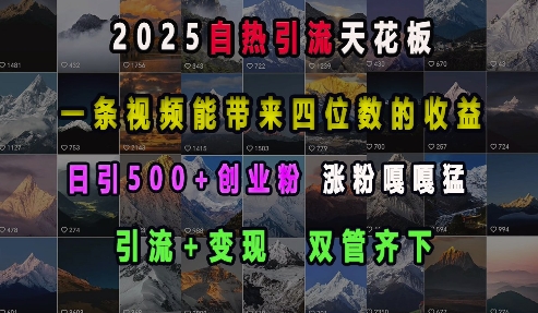 2025自热引流天花板，一条视频能带来四位数的收益，引流+变现双管齐下，日引500+创业粉，涨粉嘎嘎猛-铜臭网