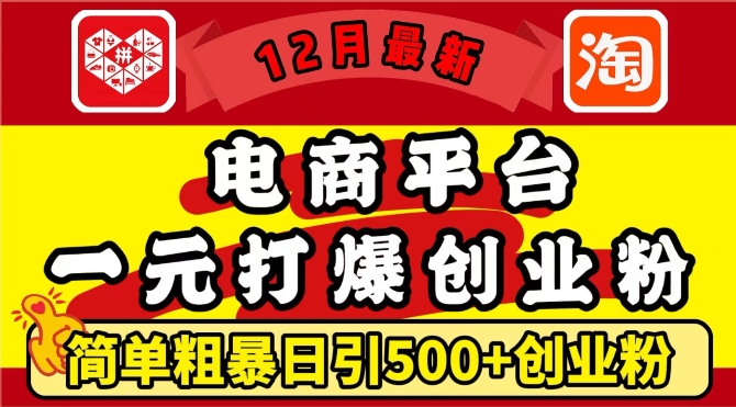 12月最新：电商平台1元打爆创业粉，简单粗暴日引500+精准创业粉，轻松月入过W【揭秘】-铜臭网
