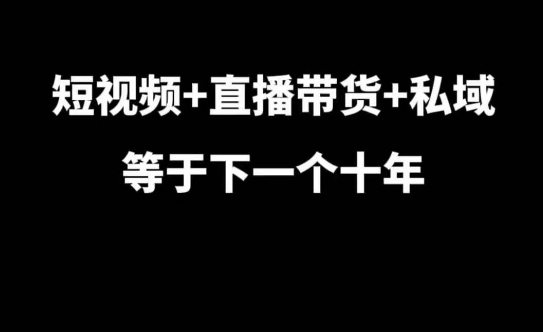 短视频+直播带货+私域等于下一个十年，大佬7年实战经验总结-铜臭网