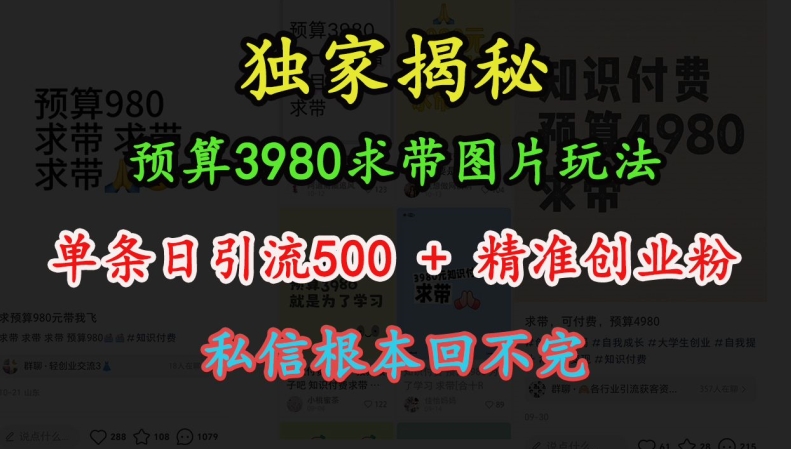 预算3980求带 图片玩法，单条日引流500+精准创业粉，私信根本回不完-铜臭网