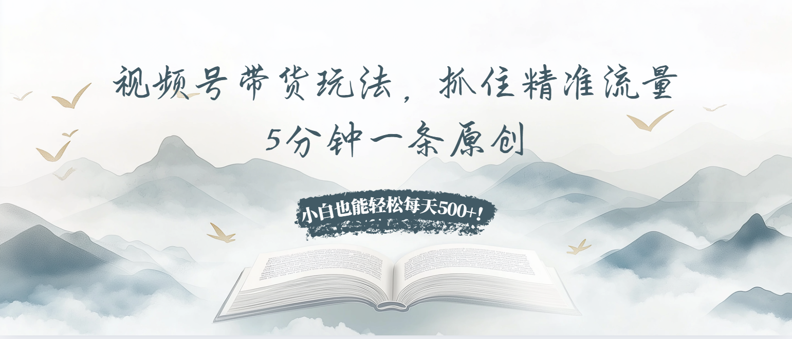 视频号带货玩法，抓住精准流量，5分钟一条原创，小白也能轻松每天500+！-铜臭网