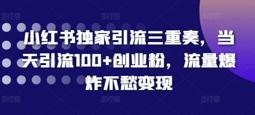 小红书独家引流三重奏，当天引流100+创业粉，流量爆炸不愁变现【揭秘】-铜臭网