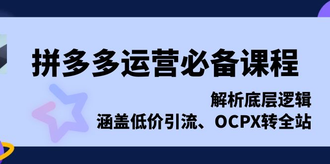 拼多多运营必备课程，解析底层逻辑，涵盖低价引流、OCPX转全站-铜臭网