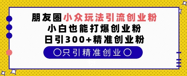 朋友圈小众玩法引流创业粉，小白也能打爆创业粉，日引300+精准创业粉【揭秘】-铜臭网