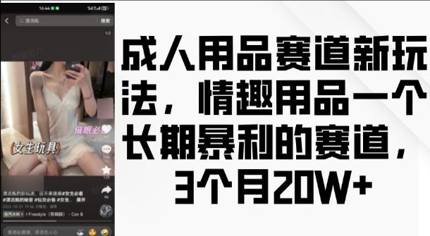 成人用品赛道新玩法，情趣用品一个长期暴利的赛道，3个月收益20个【揭秘】-铜臭网