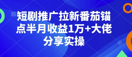 短剧推广拉新番茄锚点半月收益1万+大佬分享实操-铜臭网
