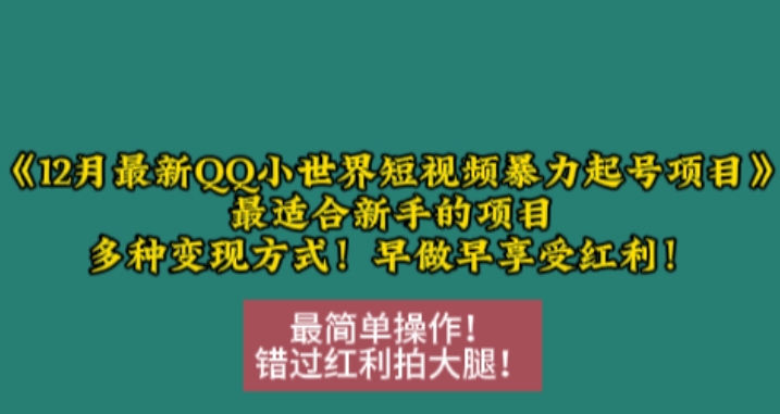 12月最新QQ小世界短视频暴力起号项目，最适合新手的项目，多种变现方式-铜臭网