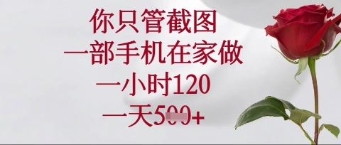 你只管截图，一部手机在家操作，一小时120.一天5张【揭秘】-铜臭网