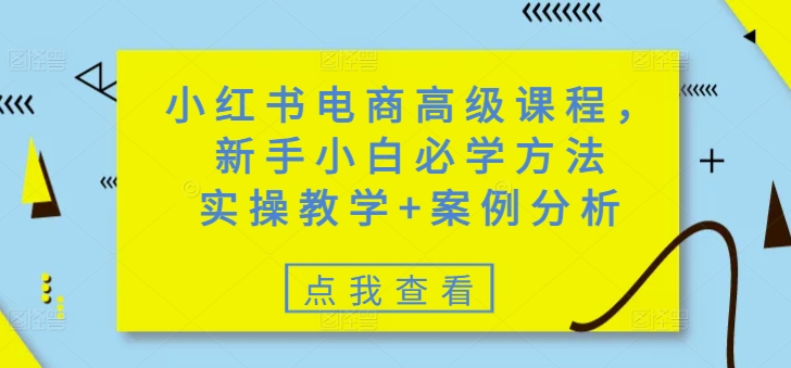 小红书电商高级课程，新手小白必学方法，实操教学+案例分析-铜臭网