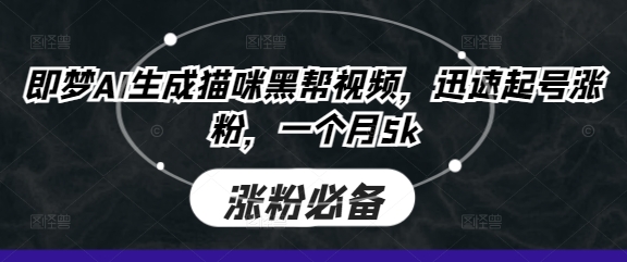 即梦AI生成猫咪黑帮视频，迅速起号涨粉，一个月5k-铜臭网