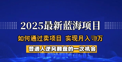 2025蓝海项目，普通人如何通过卖项目，实现月入过W，全过程【揭秘】-铜臭网
