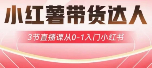 小红薯达人带货启航计划,3节直播课从0-1入门小红书-铜臭网