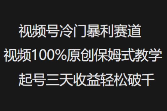 视频号冷门暴利赛道视频100%原创保姆式教学起号三天收益轻松破千-铜臭网