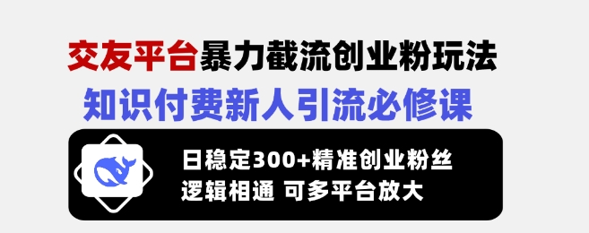 交友平台暴力截流创业粉玩法，知识付费新人引流必修课，日稳定300+精准创业粉丝，逻辑相通可多平台放大-铜臭网